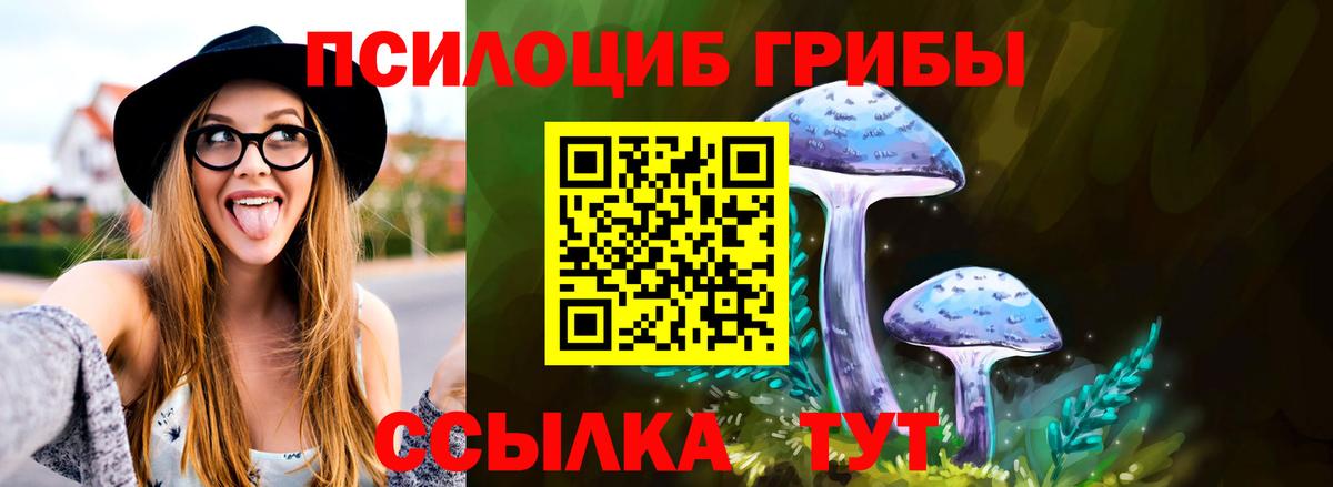 Псилоцибиновые грибы GOLDEN TEACHER  Галлюциногенные грибы GOLDEN TEACHER  дарнет шоп  Щёлково  Вход с VPN 